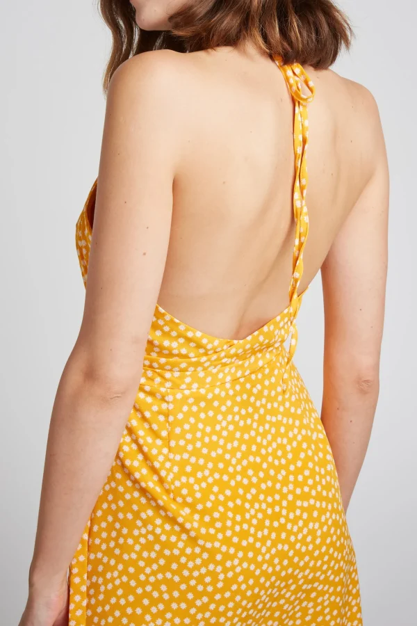 DAISY
